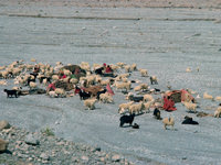 pointon gallery 24 new.jpg