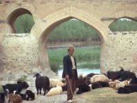 pointon gallery 29 new.jpg