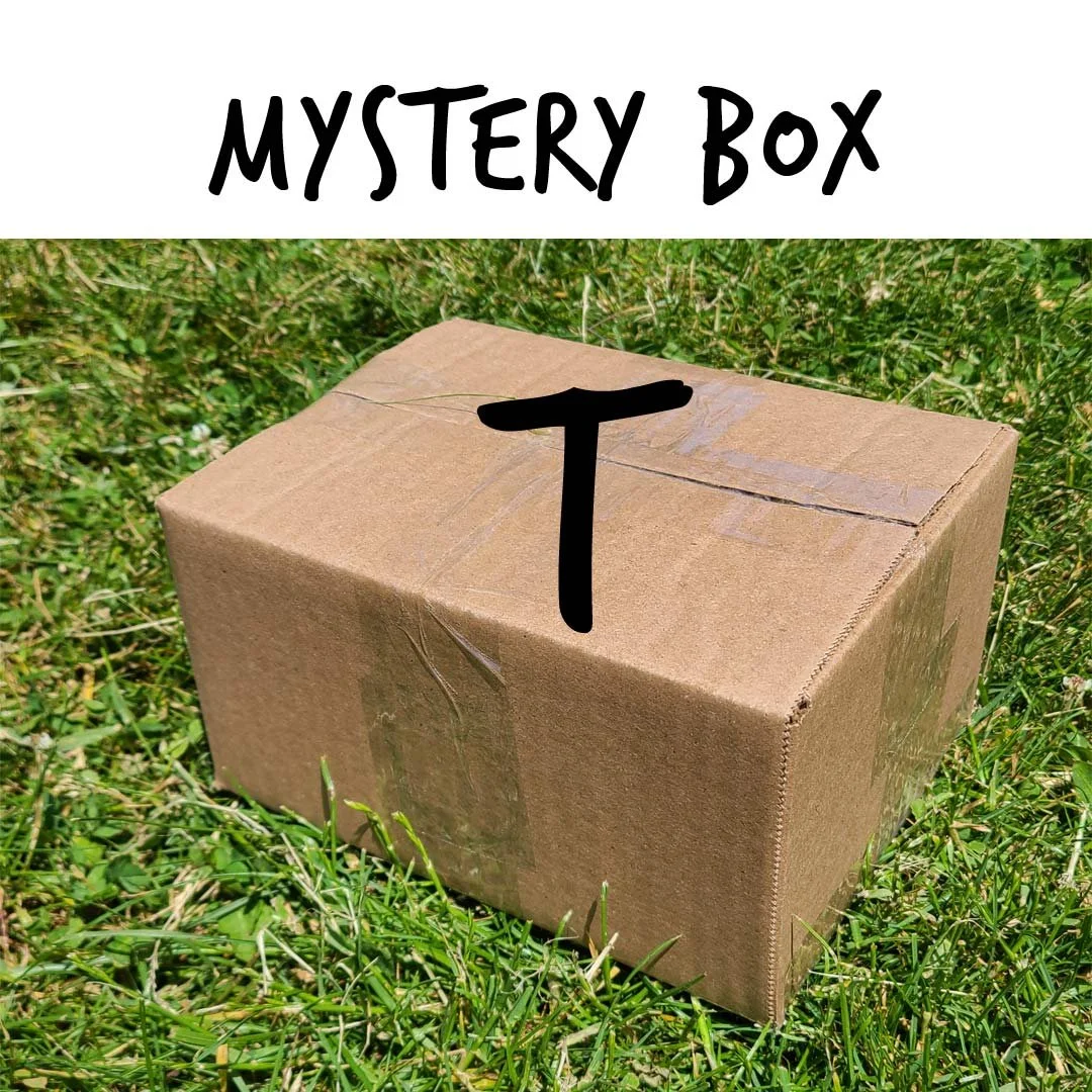 mystery-box-T.jpg