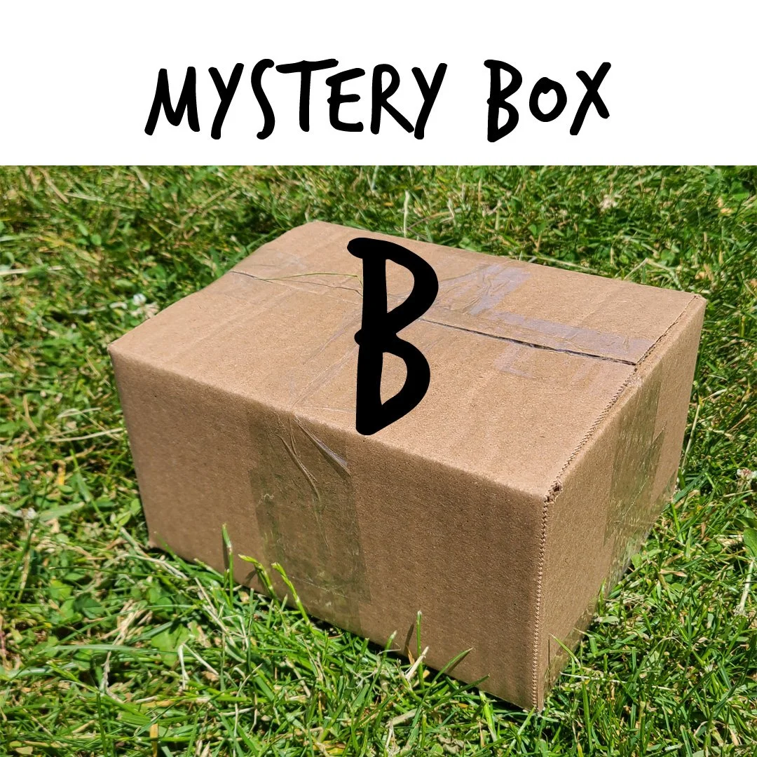 mystery-box-B.jpg