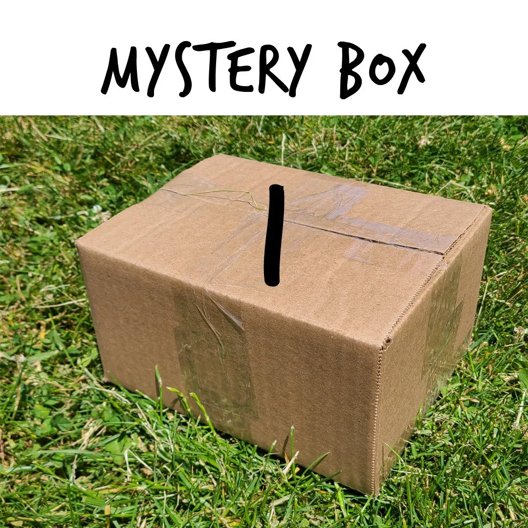 mystery-box-I.jpg