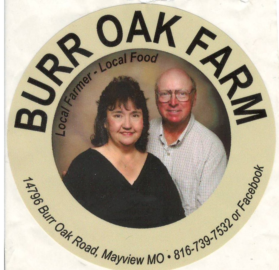 Homemade lotion — Burr Oak Farm