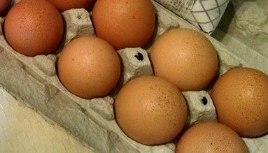 Burr Oak breakfast (2).jpg