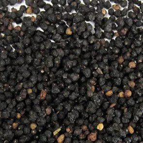 elder berries (2).jpg