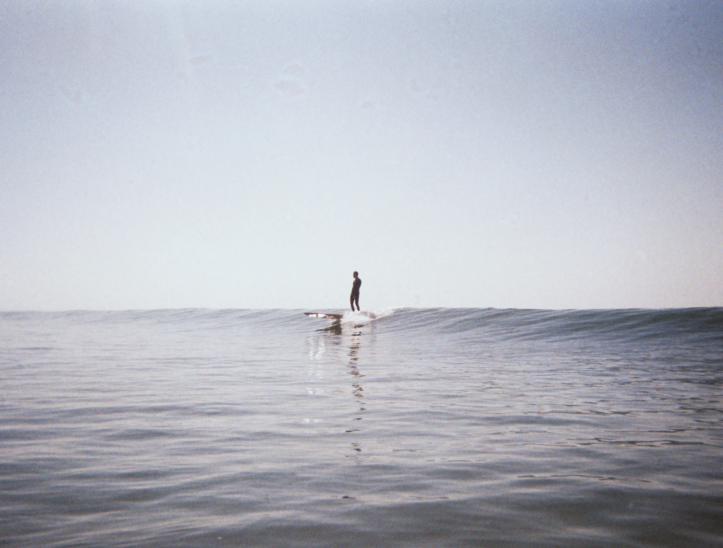 Jesse Glider Strawberry Fields Disposable copy.jpg