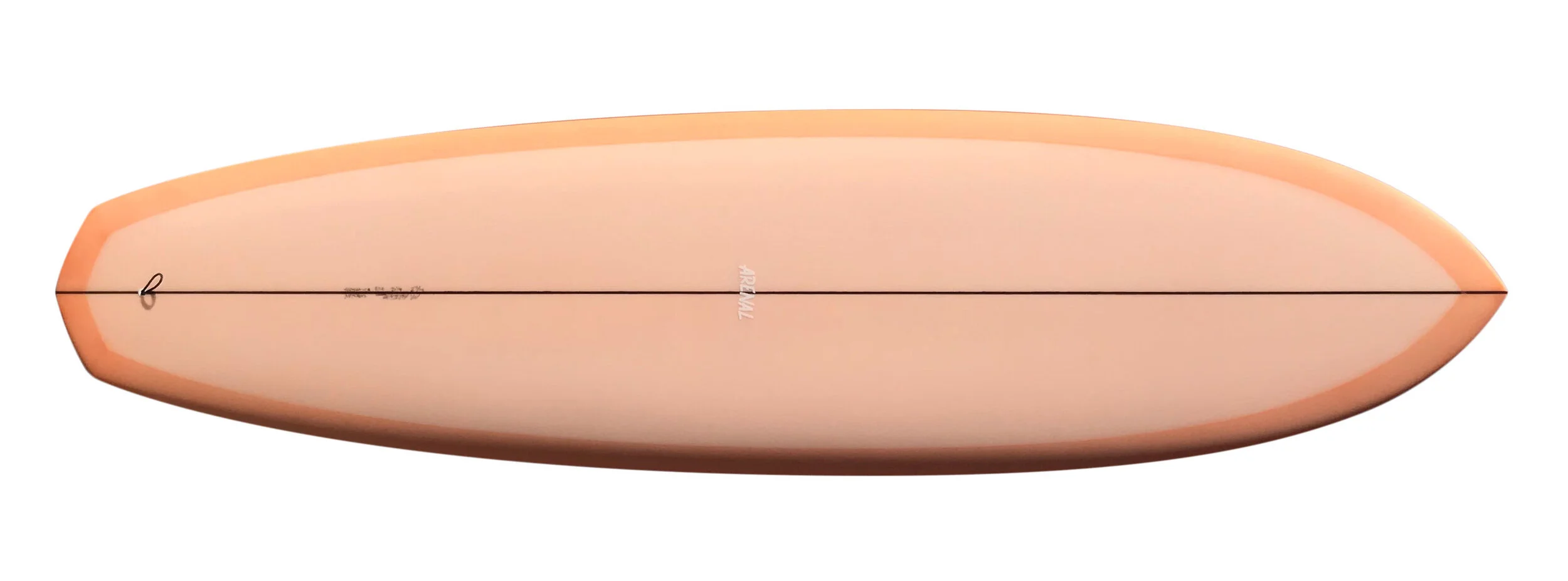 Gateway Salmon copy 2.jpg