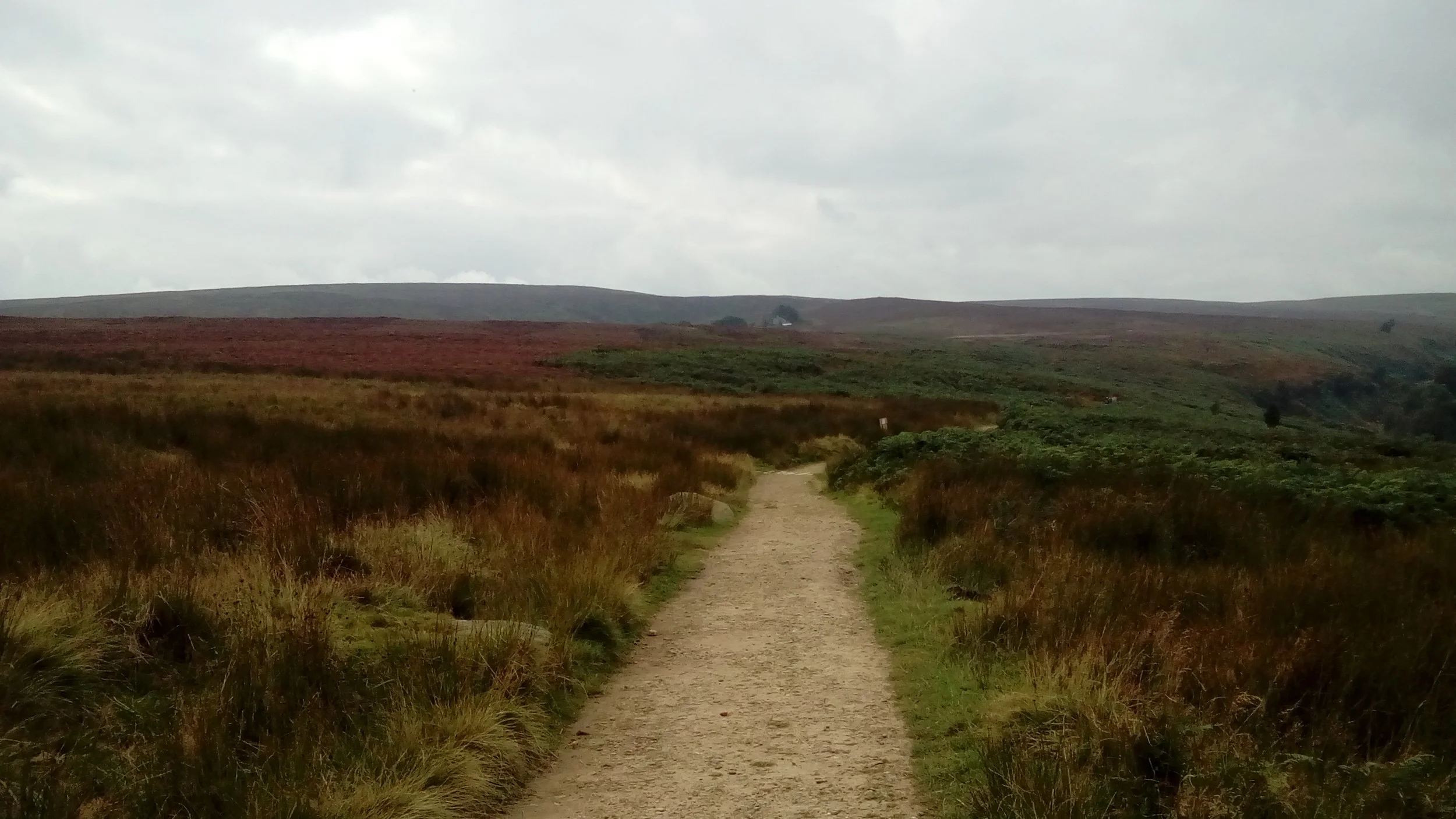 A photograph taken by Sophia whilst researching The Vanishing