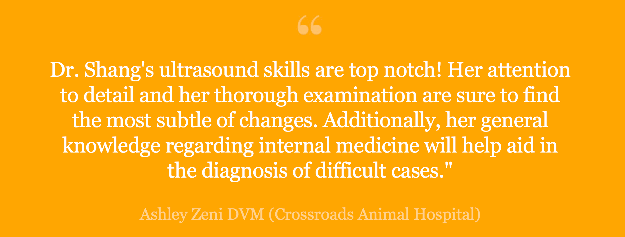 Ashley Zeni DVM (Crossroads Animal Hospital)