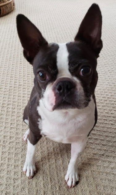 Patient 4 weeks post-surgery.