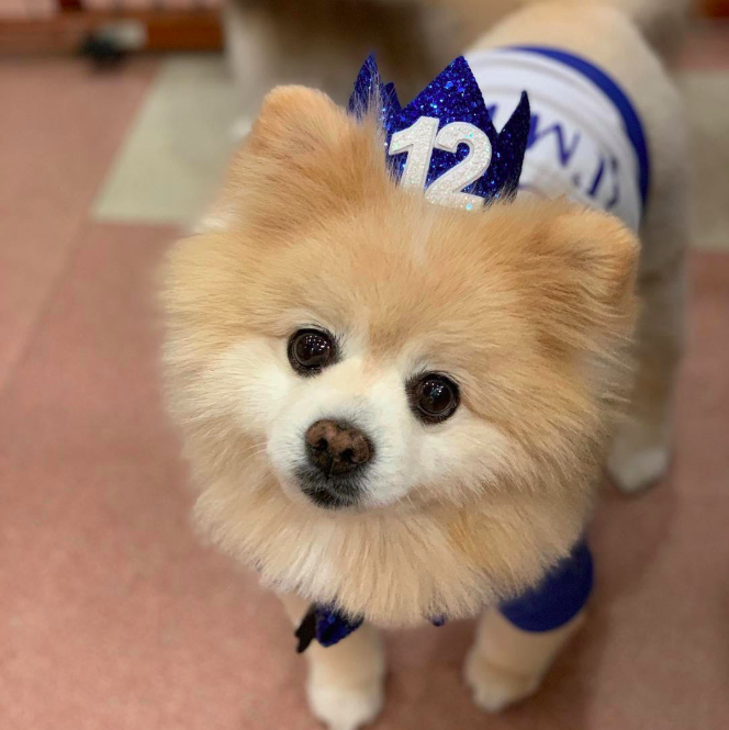 Happy patient celebrating his 12th birthday after his parathyroidectomy.