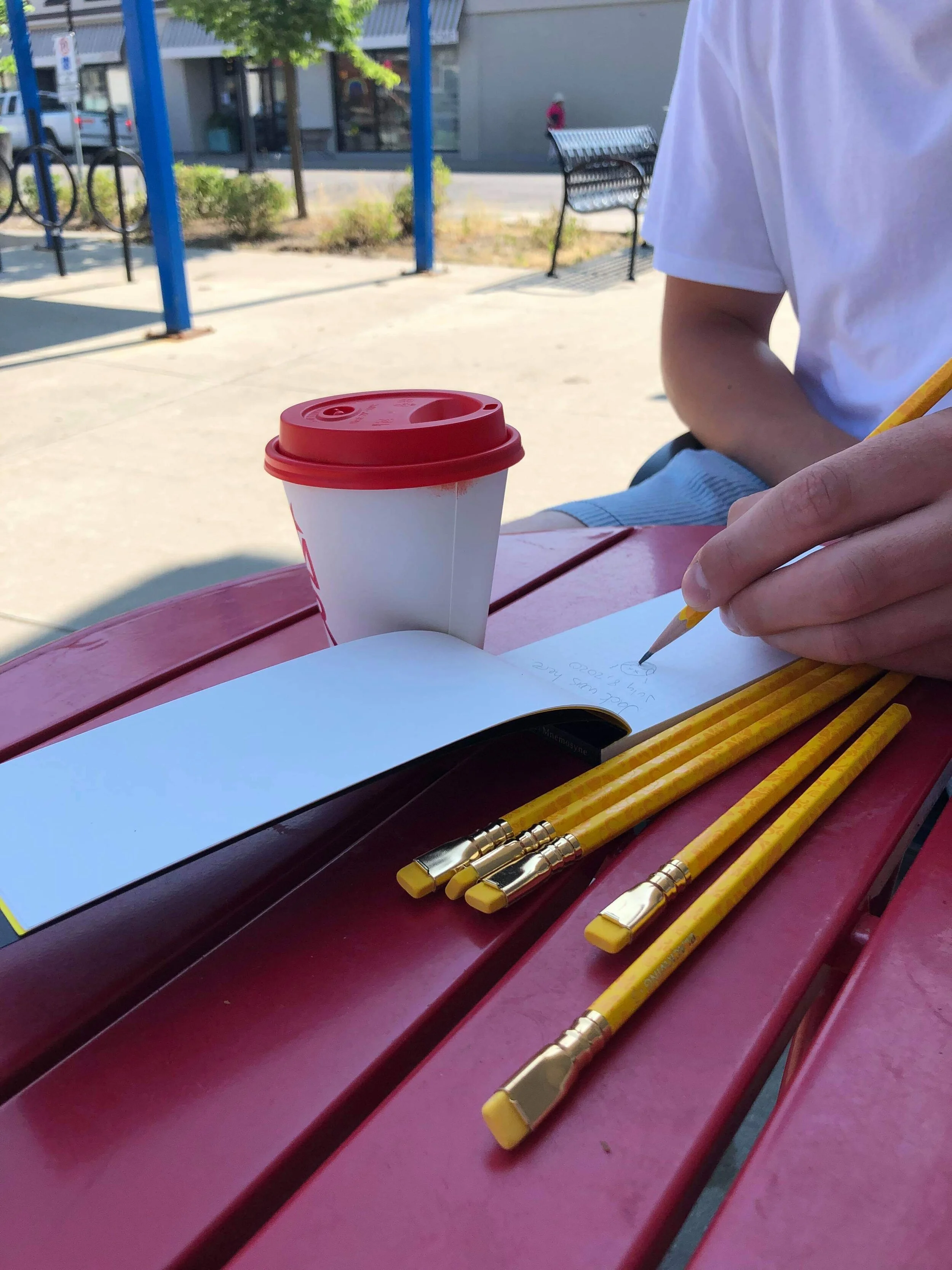 Palomino Blackwing Pencils: Volume 3, Ravi Shankar