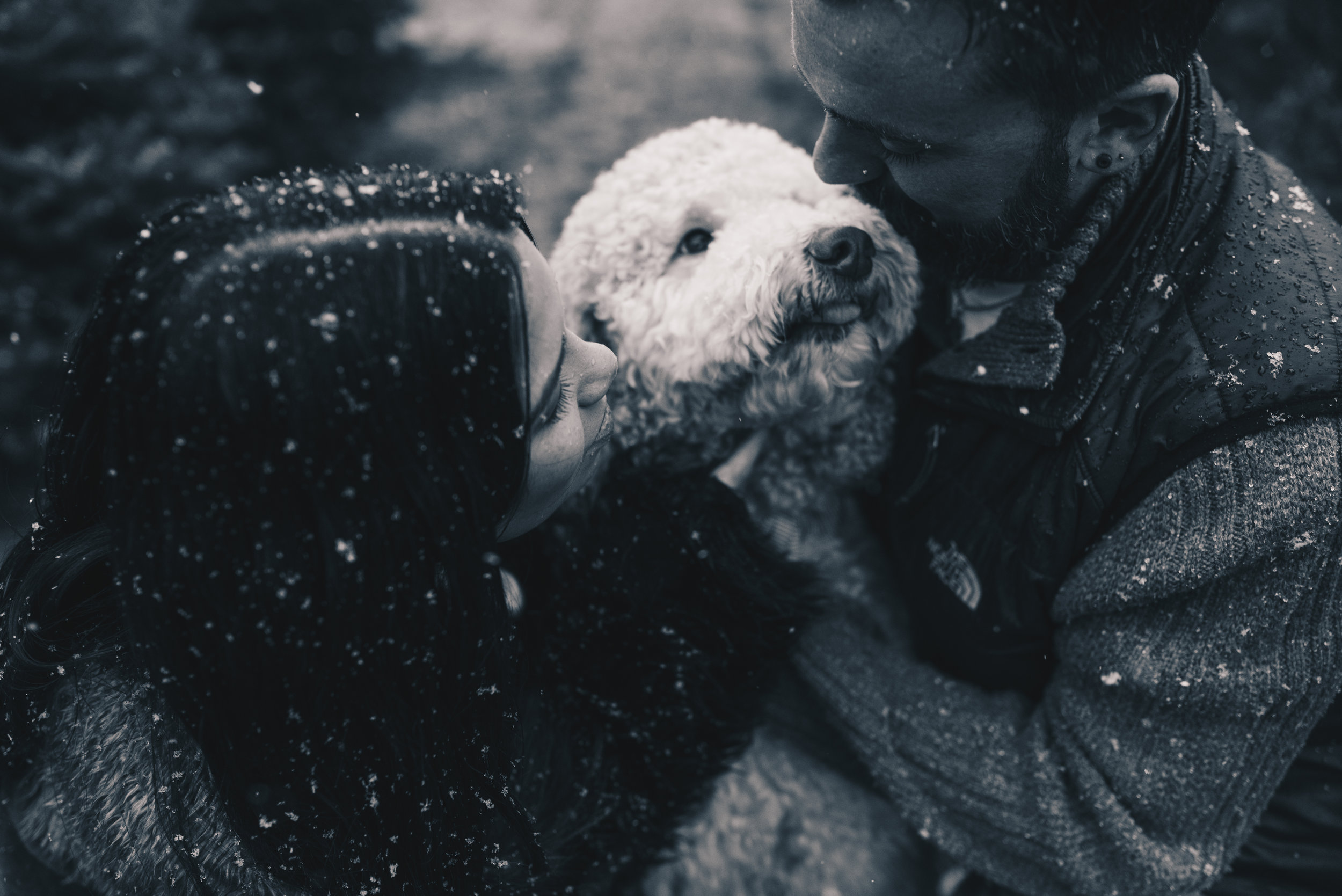 Winter Couples Photography, Winter Engagement Photography, Winter Wonderland Couples Photos, Illinois Couples Photographer