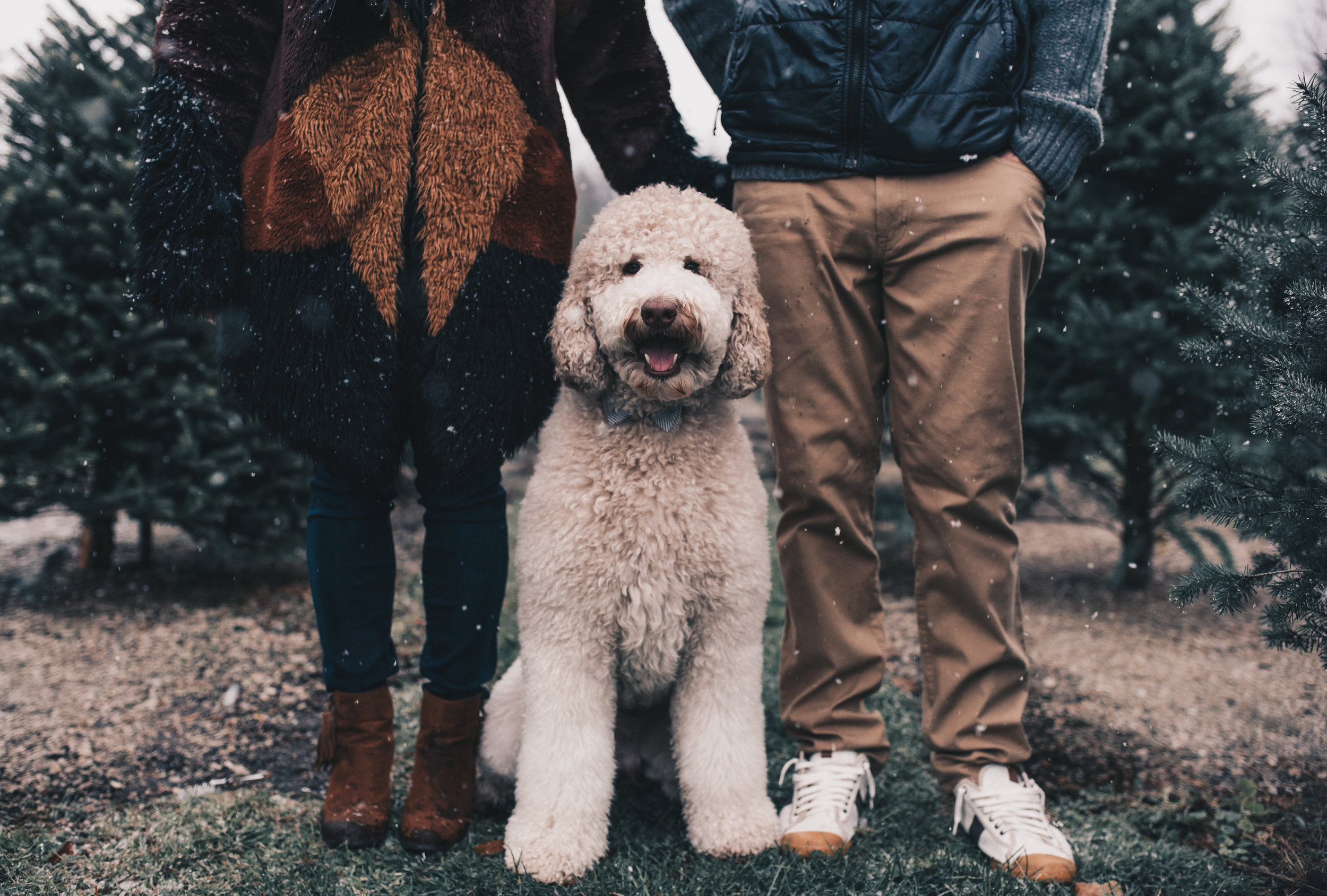 Winter Couples Photography, Winter Engagement Photography, Winter Wonderland Couples Photos, Illinois Couples Photographer