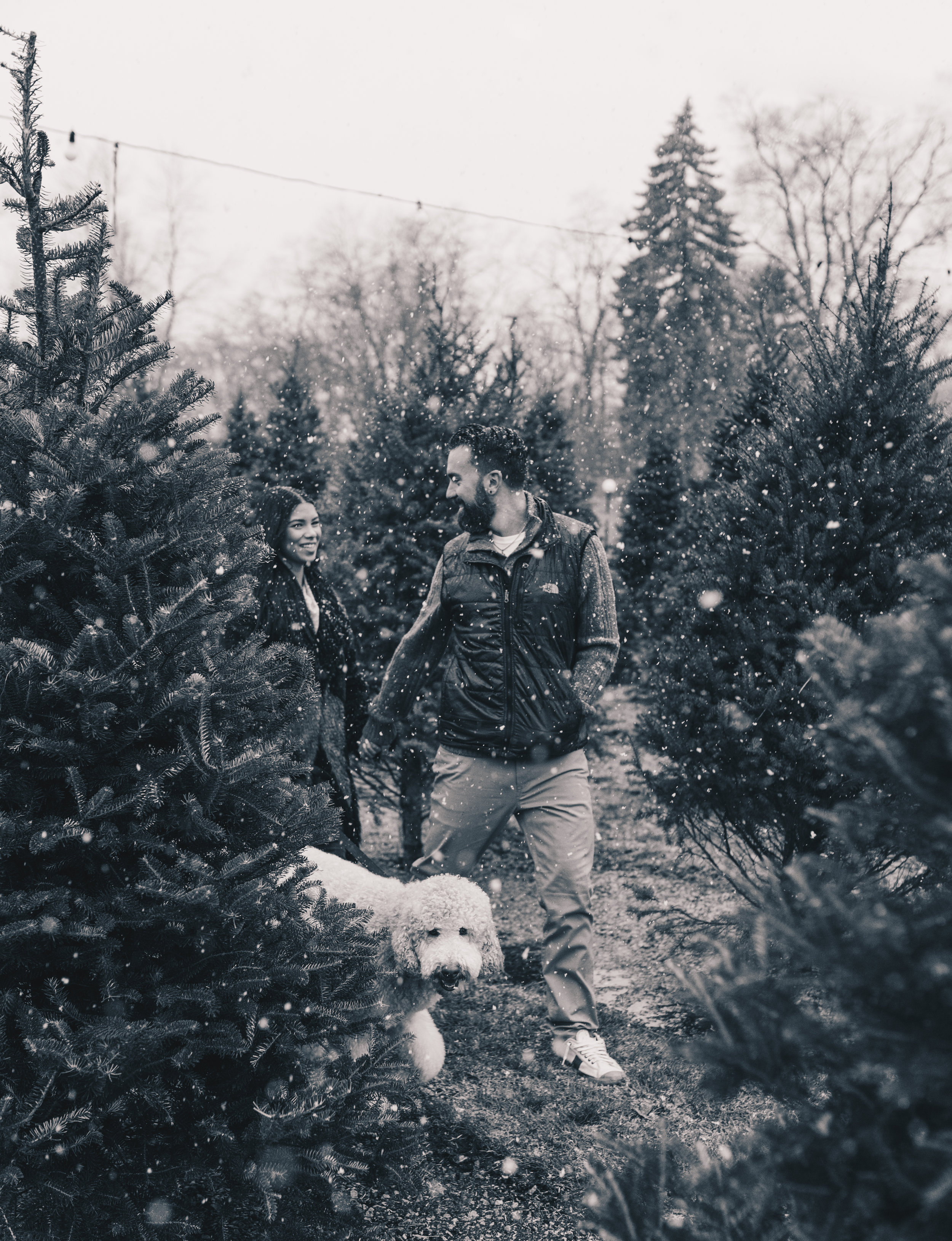 Winter Couples Photography, Winter Engagement Photography, Winter Wonderland Couples Photos, Illinois Couples Photographer