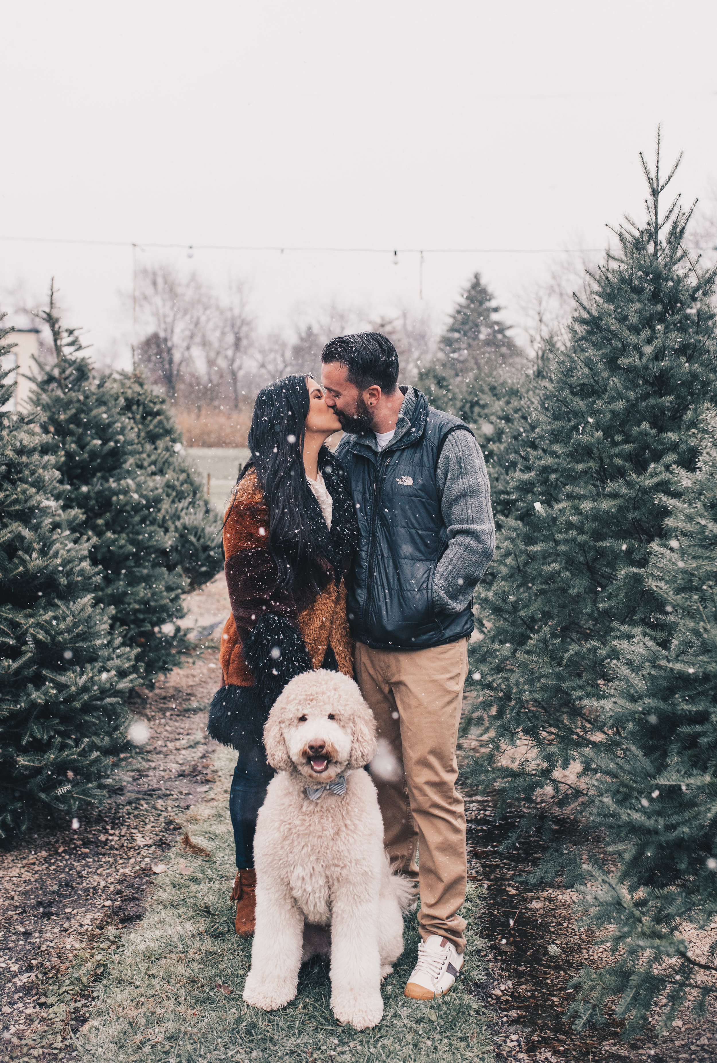 Winter Couples Photography, Winter Engagement Photography, Winter Wonderland Couples Photos, Illinois Couples Photographer