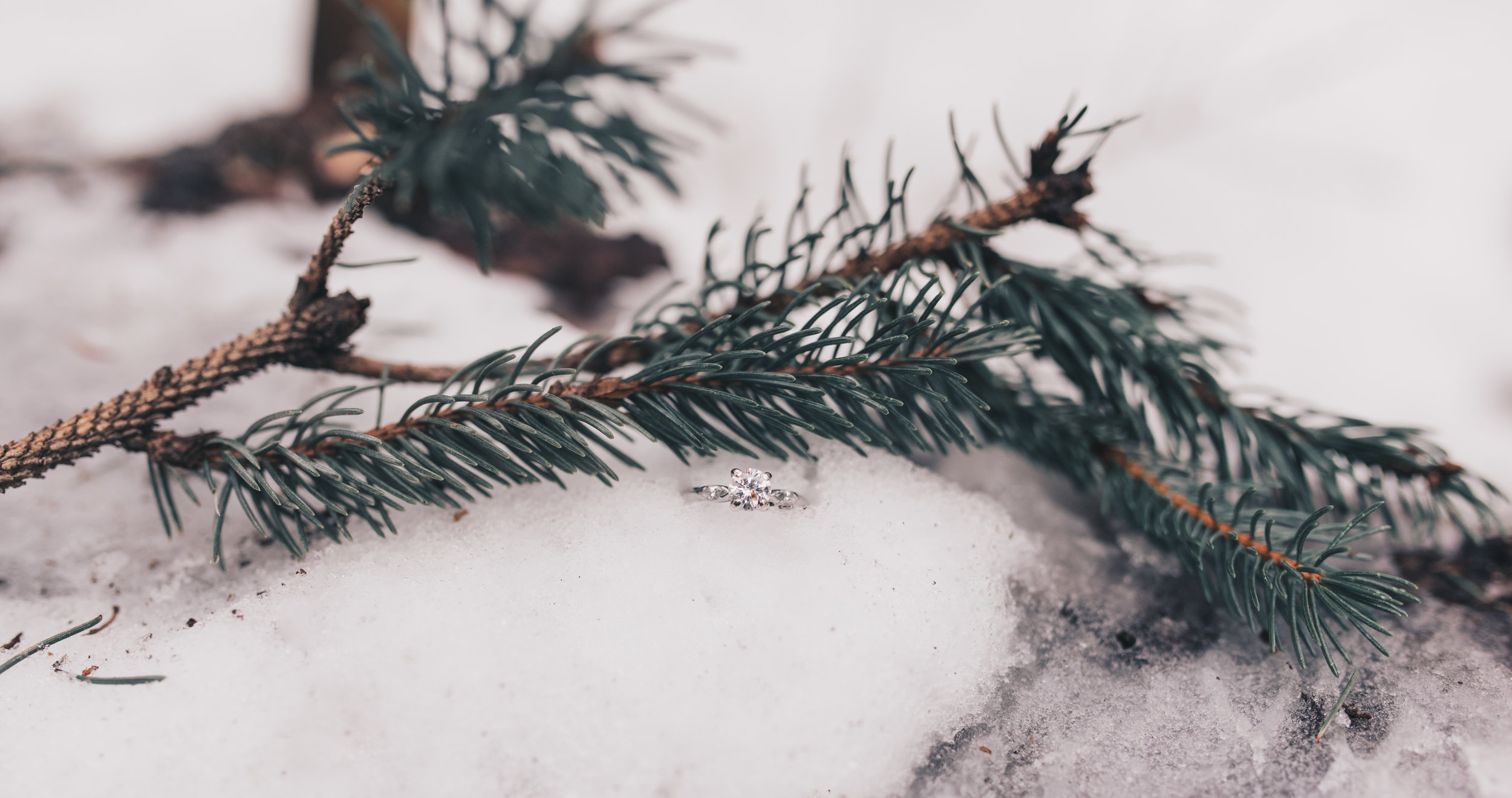 Winter Couples Session, Outdoor Winter Engagement Session, Woodsy Adventurous Couples Session, Illinois Wedding Photographer, Illinois Couples Photographer, Illinois Engagement Photographer