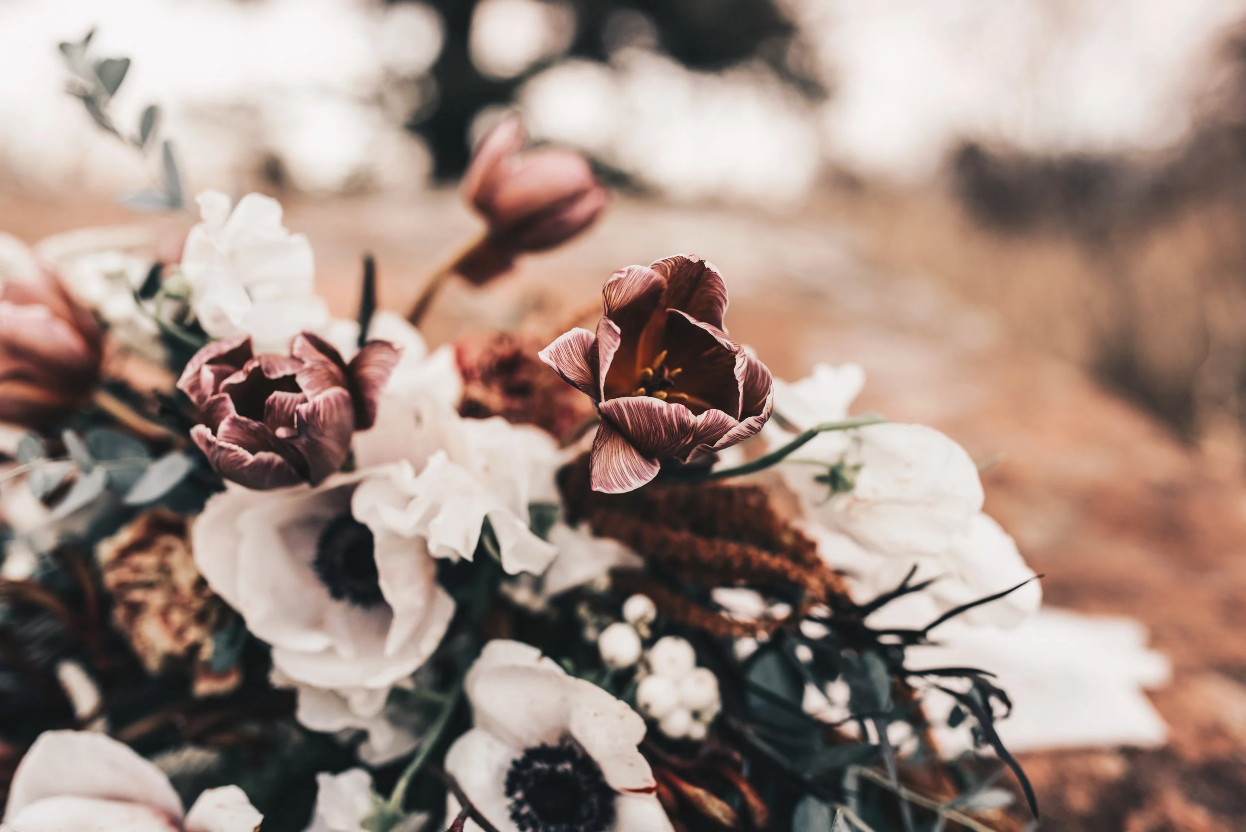 Chautauqua elopement photographer, Chautauqua wedding photographer, Boulder elopement photographer, mountain couples session, Colorado elopement photographer, Colorado mountain elopement