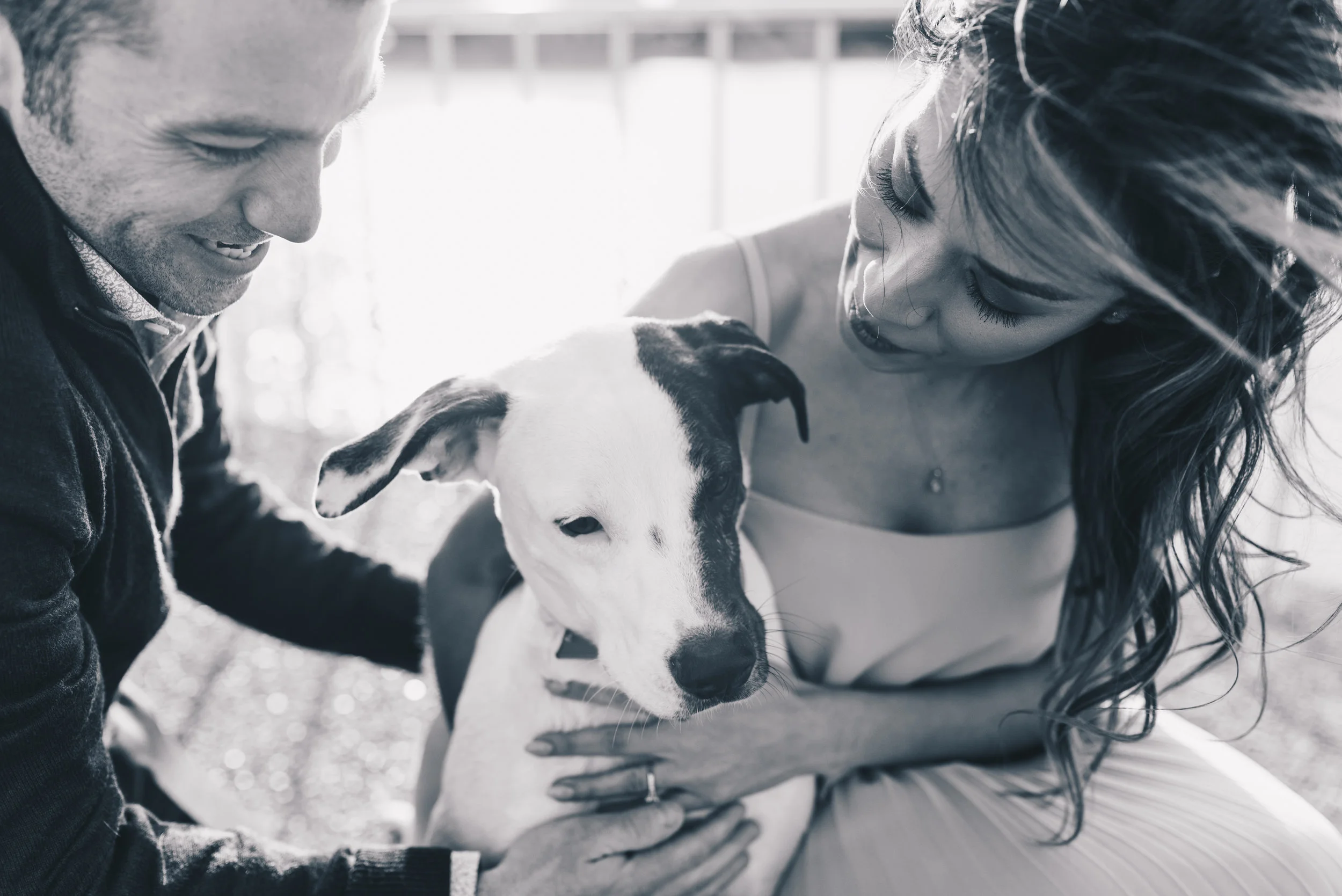 Outdoor Engagement, City Engagement, Engagement Photos, Chicago Engagement Photographer, Chicago Engagement Photography, Milton Lee Olive Park Photos, Engagement Photos with Dog