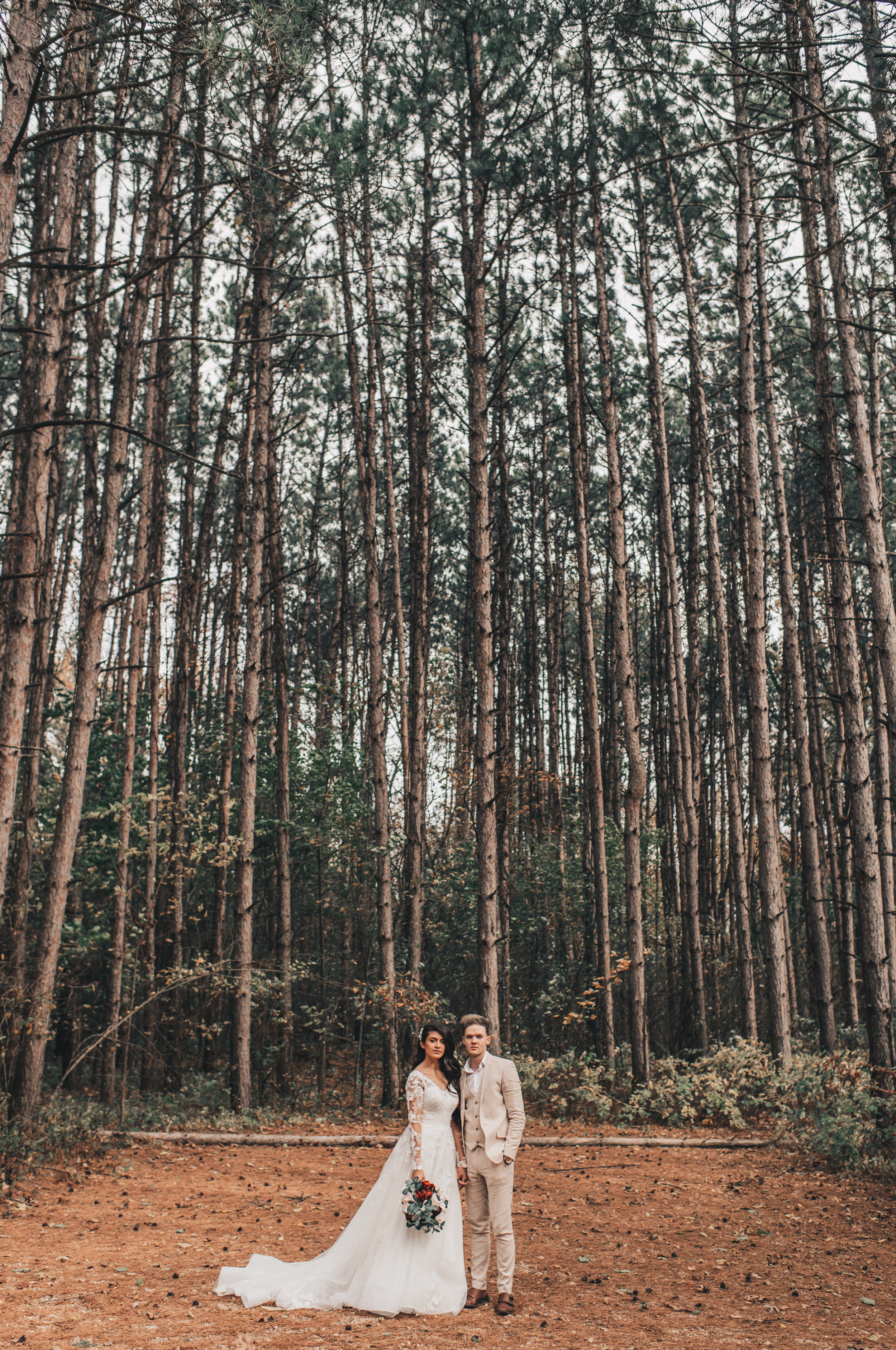 Wisconsin Wedding, Midwest Airbnb Wedding, Adventurous Airbnb Wedding, Outdoor Fall Modern Rustic Wedding, Wisconsin Photographer, Wisconsin Wedding Venue, Forest Pine Trees Bride &amp; Groom Photos