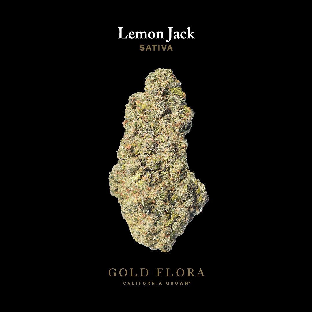 __
𝐋𝐞𝐦𝐨𝐧 𝐉𝐚𝐜𝐤 (Sativa)

Lemon Jack is a potent sativa strain that is derived from its Jack Herer and Lemon Kush lineage. This strain has a distinct chemical-like lemon scent and has strong psychoactive effects. Focused and energizing like a 