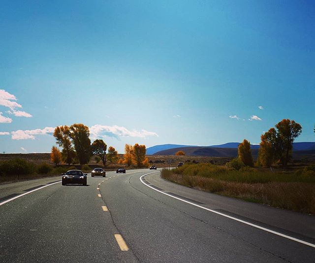 Rearview. 📸: @_worldaccordingtotat_