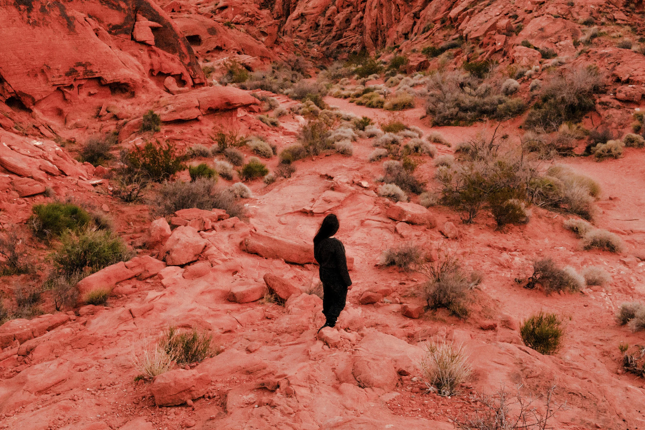 ValleyOfFire_13-2.jpg