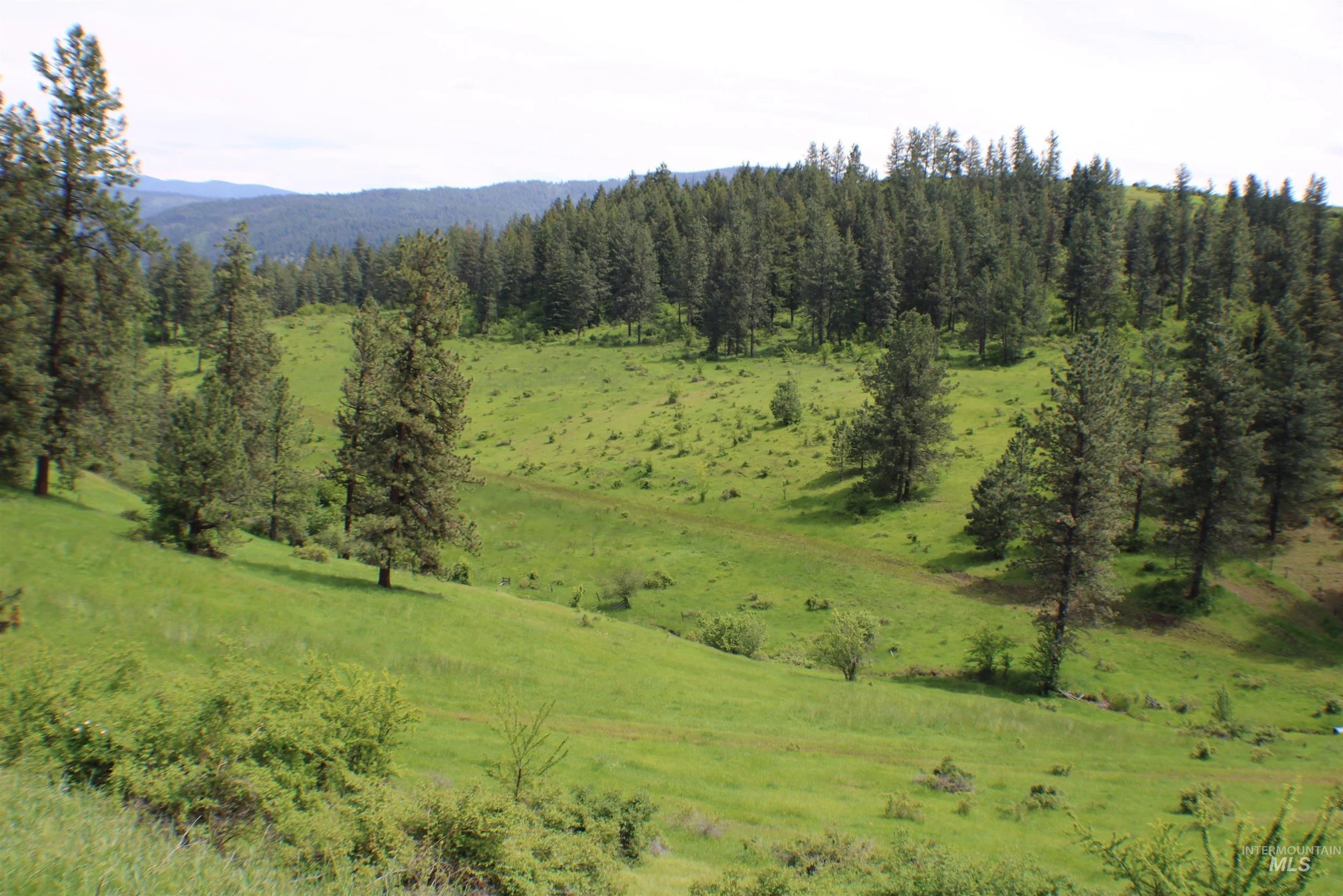 Central Idaho Properties — North Central Idaho Real Estate