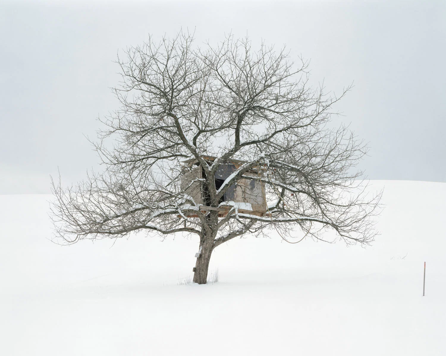 Emergence
