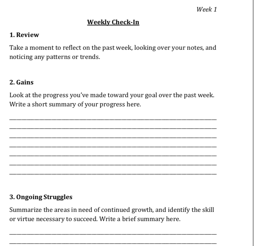 Daily Structured Journal Track Progress Measurable Weekly Reflection Goals.png