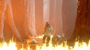 Moving Meditations (Copy)