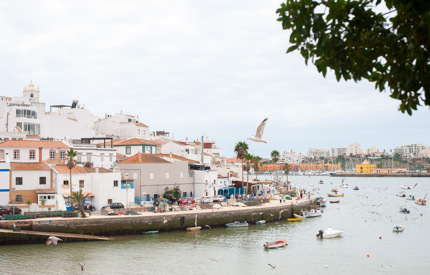 Ferragudo-9_.jpg