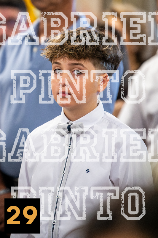 29.png