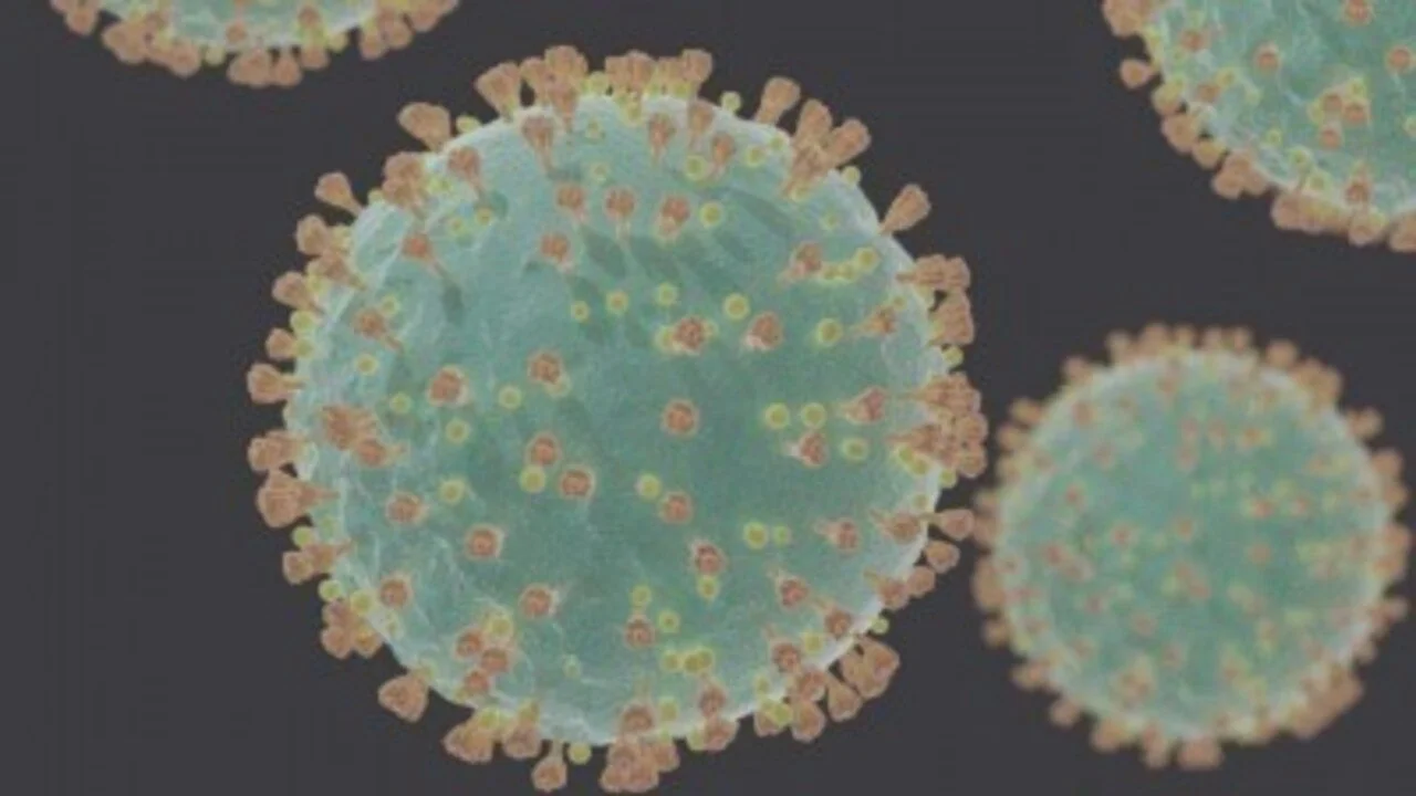 Marinette shipbuilders infected with virus