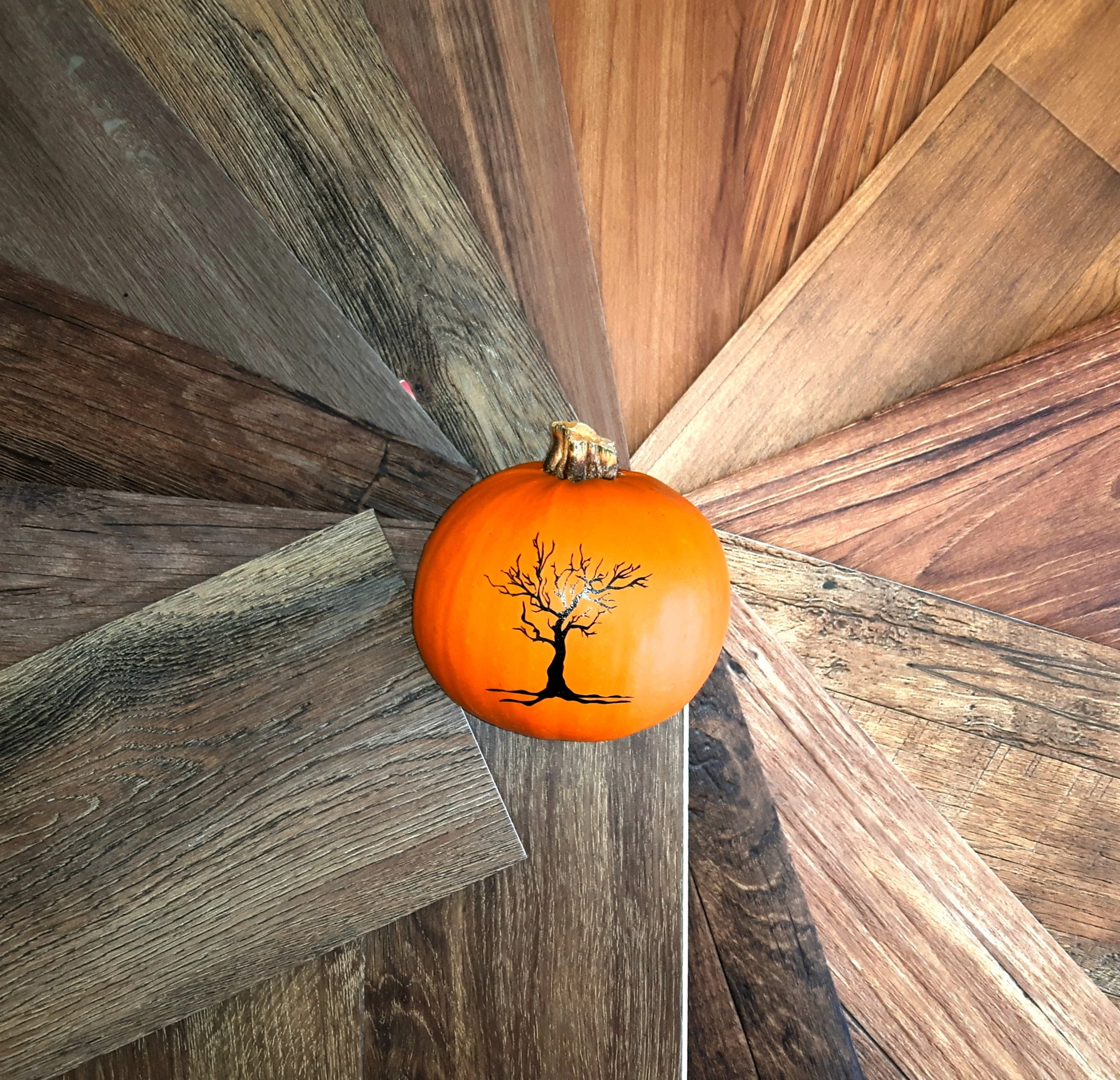 20171004_143025.jpg