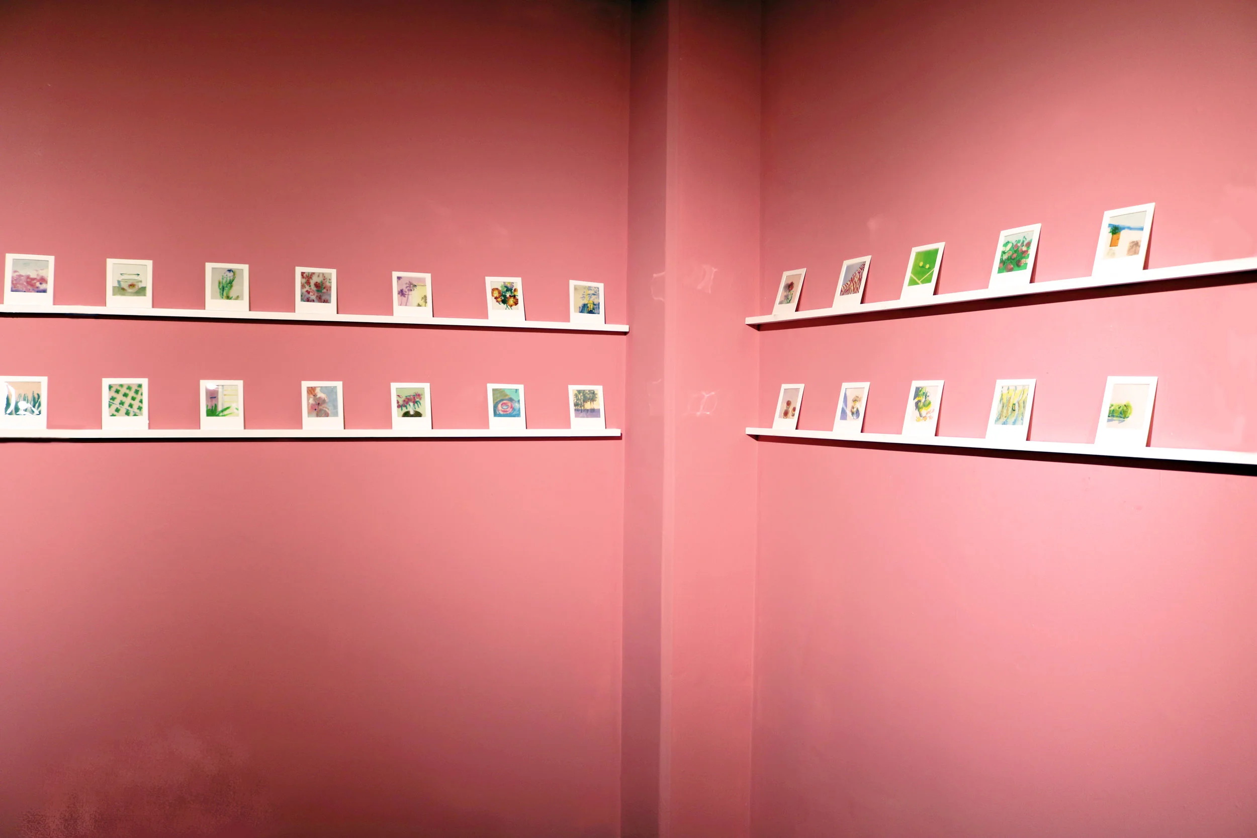 Installation, monotype, monoprint, 2017