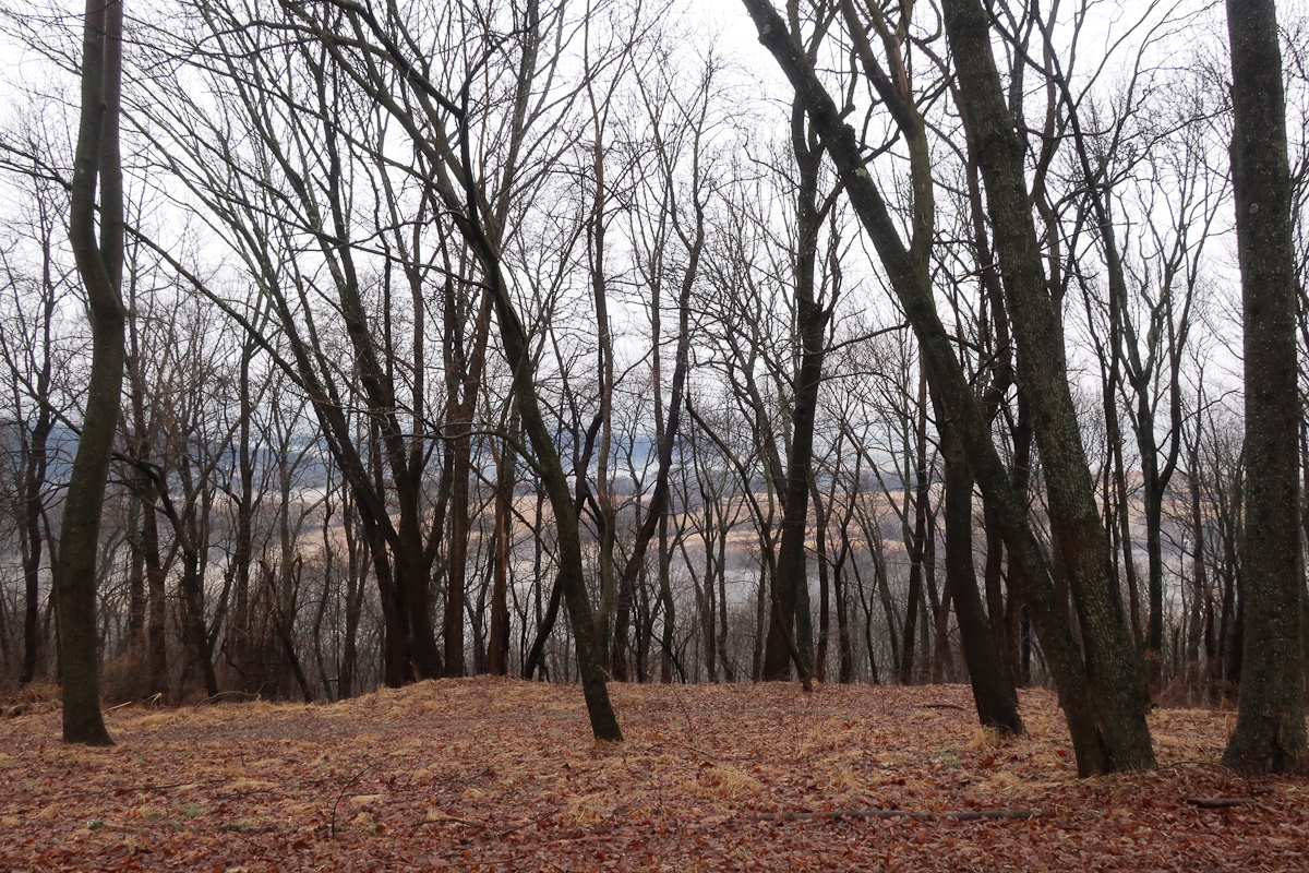 The view from our road. Alpha Grasslands are in the valley below, at right.