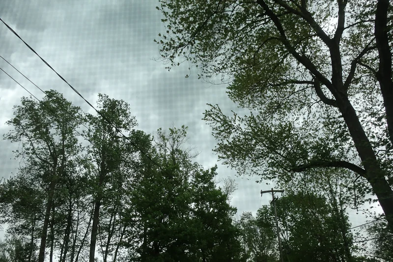 Lightning forced us to take a break from work, and watch the storm from the window. It felt so pleasant to sit together as a family.
