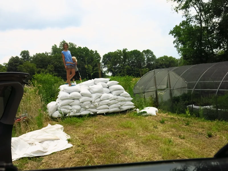 Two years ago, this kid and I loaded all these bags of soil from the bottom of the driveway to up by the hoop houses, July 10, 2016.