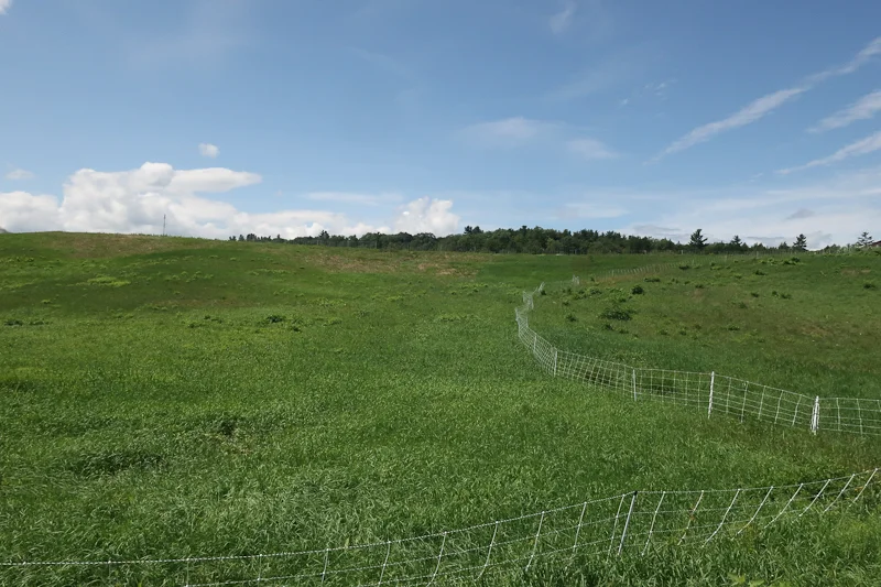 The pasture.