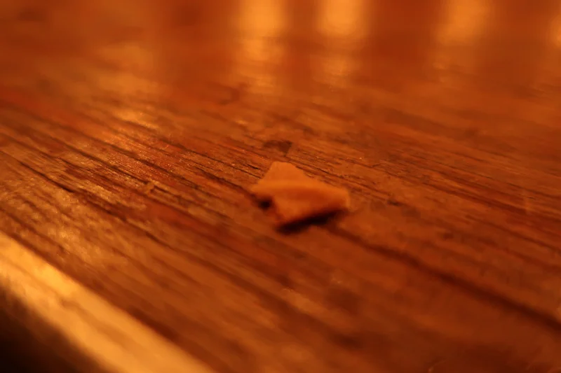 And some crumbs on the table. Making art photos.