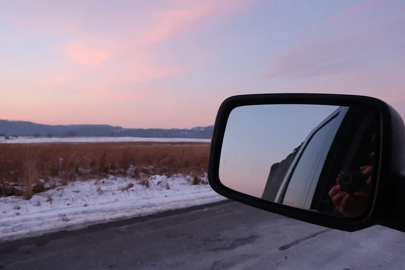 Self-portrait waiting for the owls, February 2, 2019