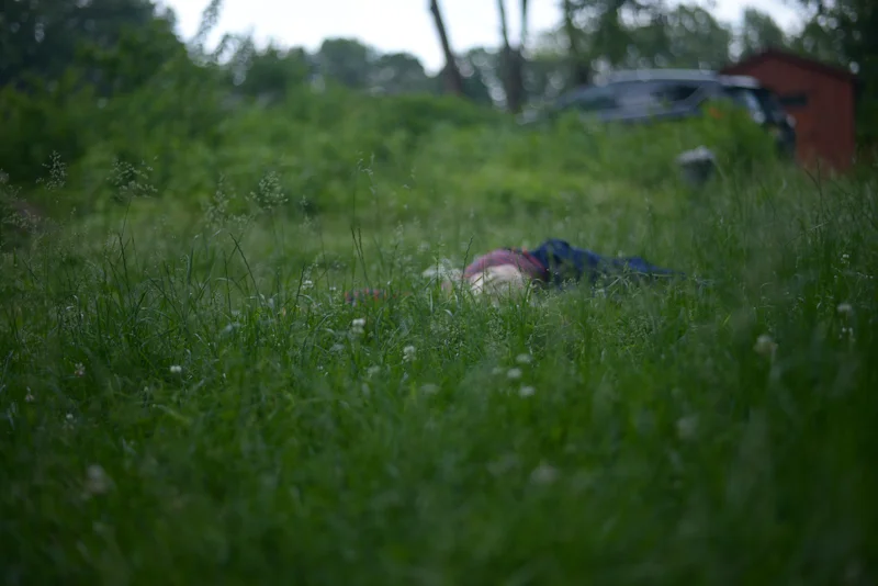 In the Grass, June 2, 2019