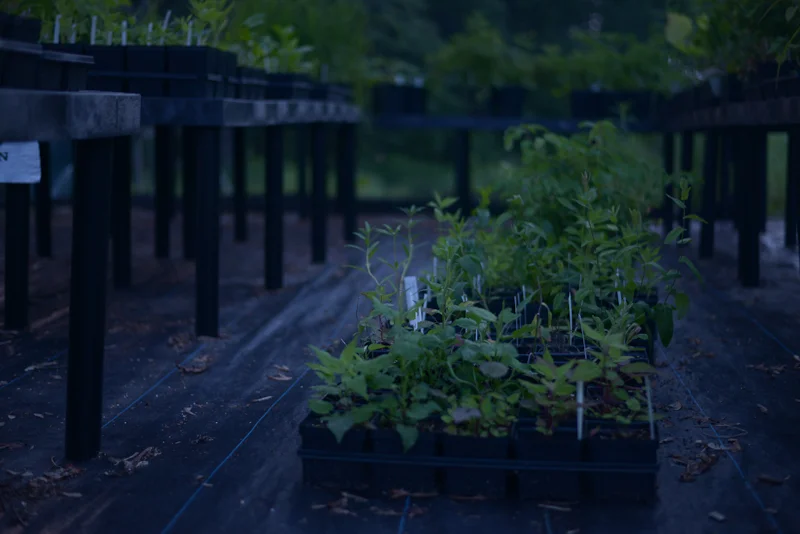 mackow_nursery-2840.jpg