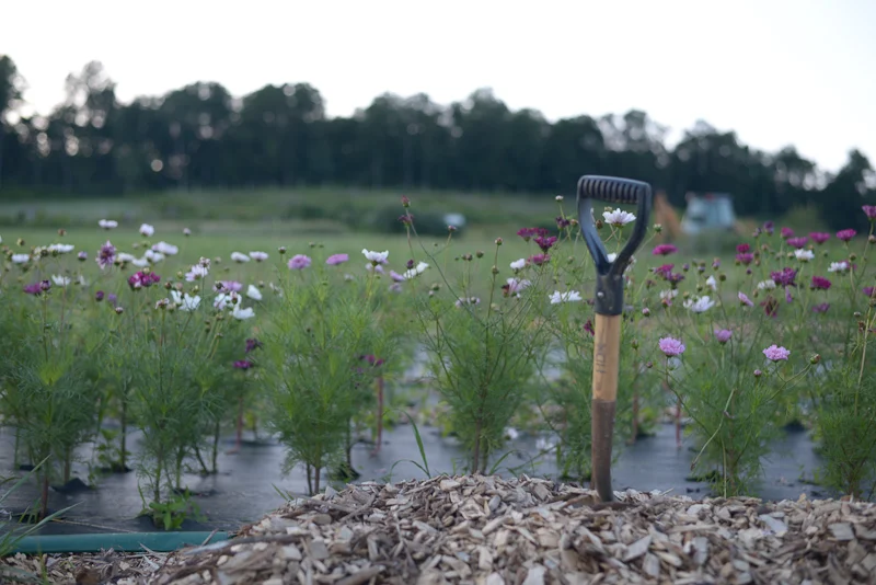 Shovel at Ironbound Farm , June 22, 2019