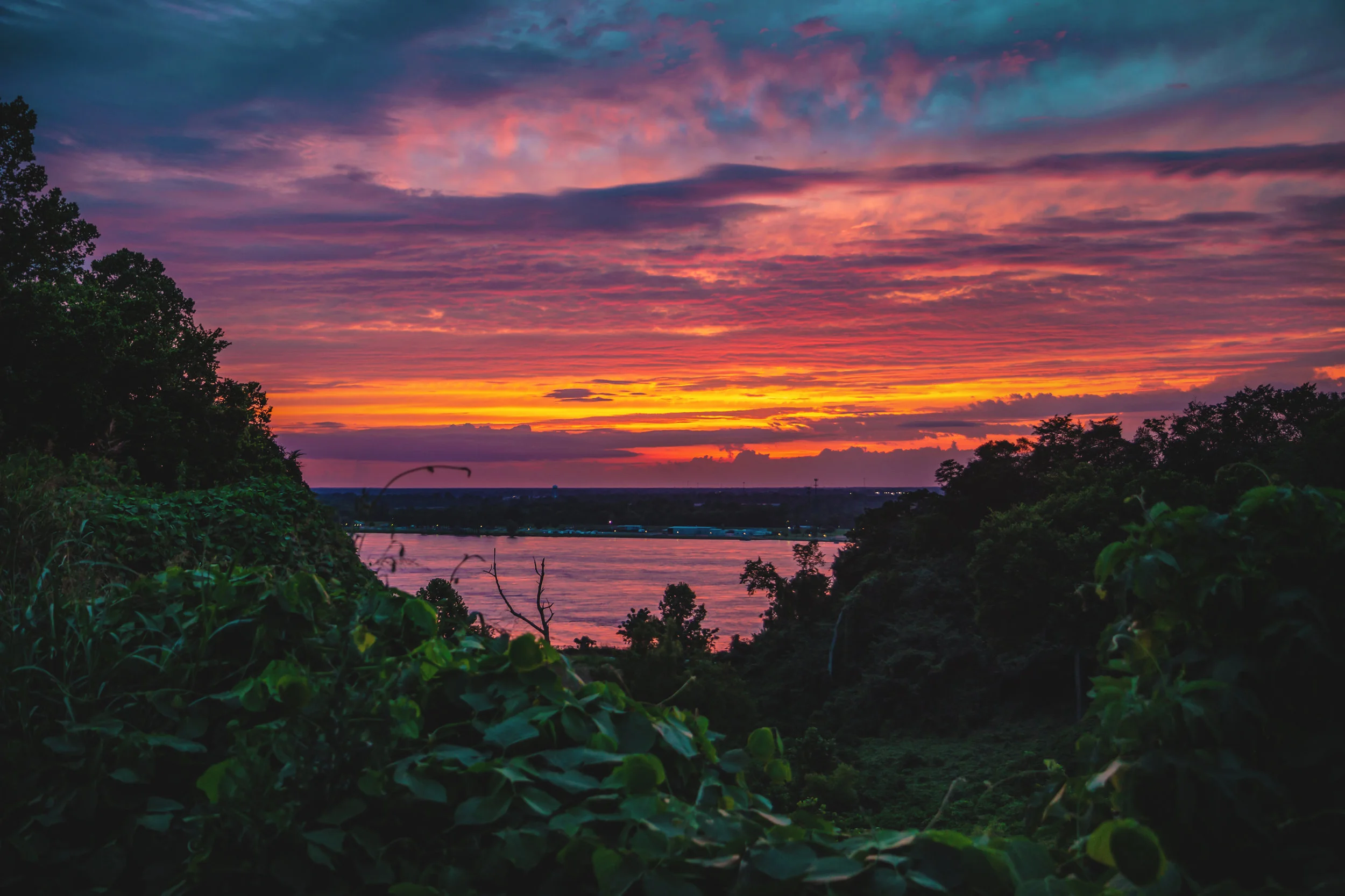 Natchez bluff for website.jpg