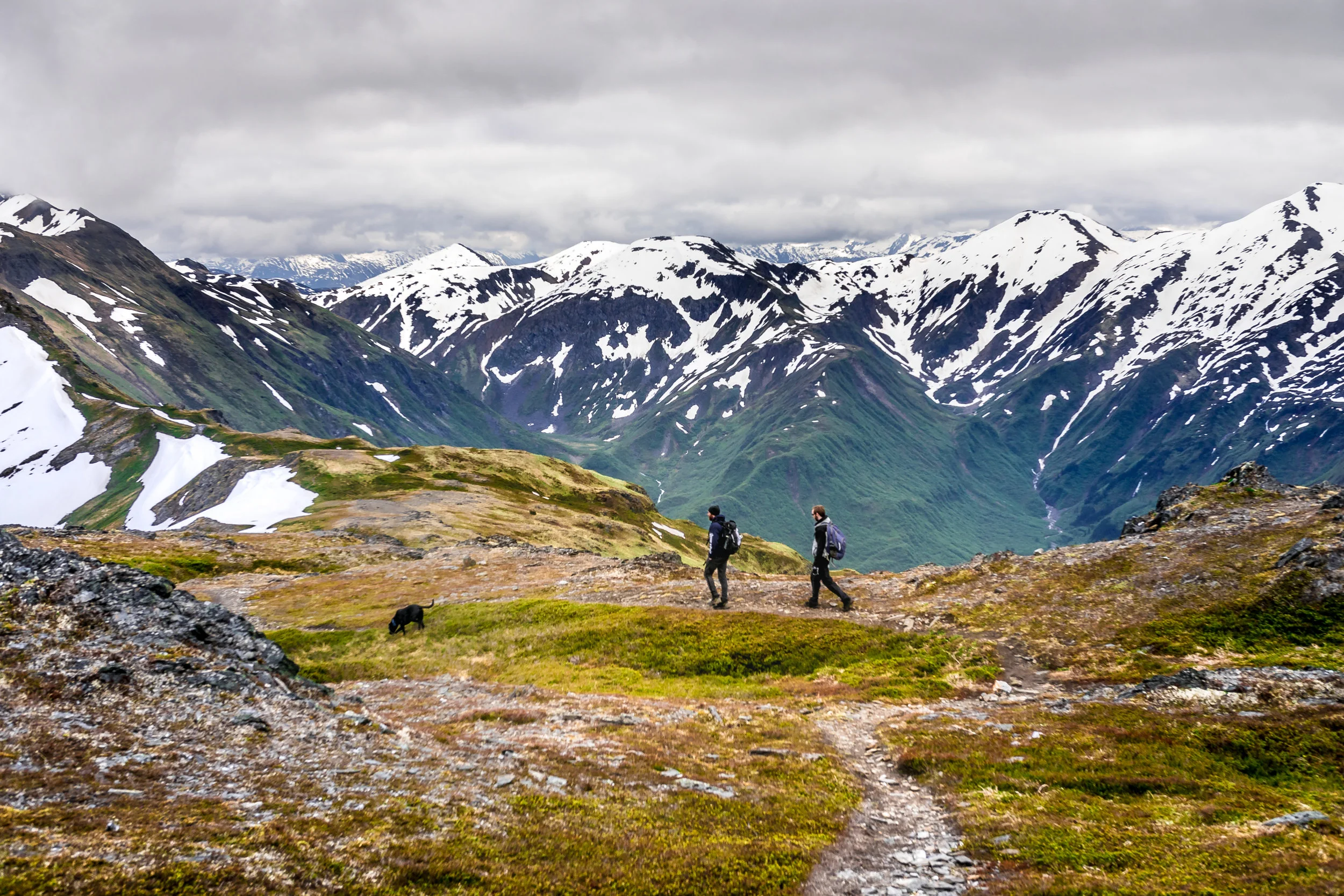 Juneau pic for website.jpg