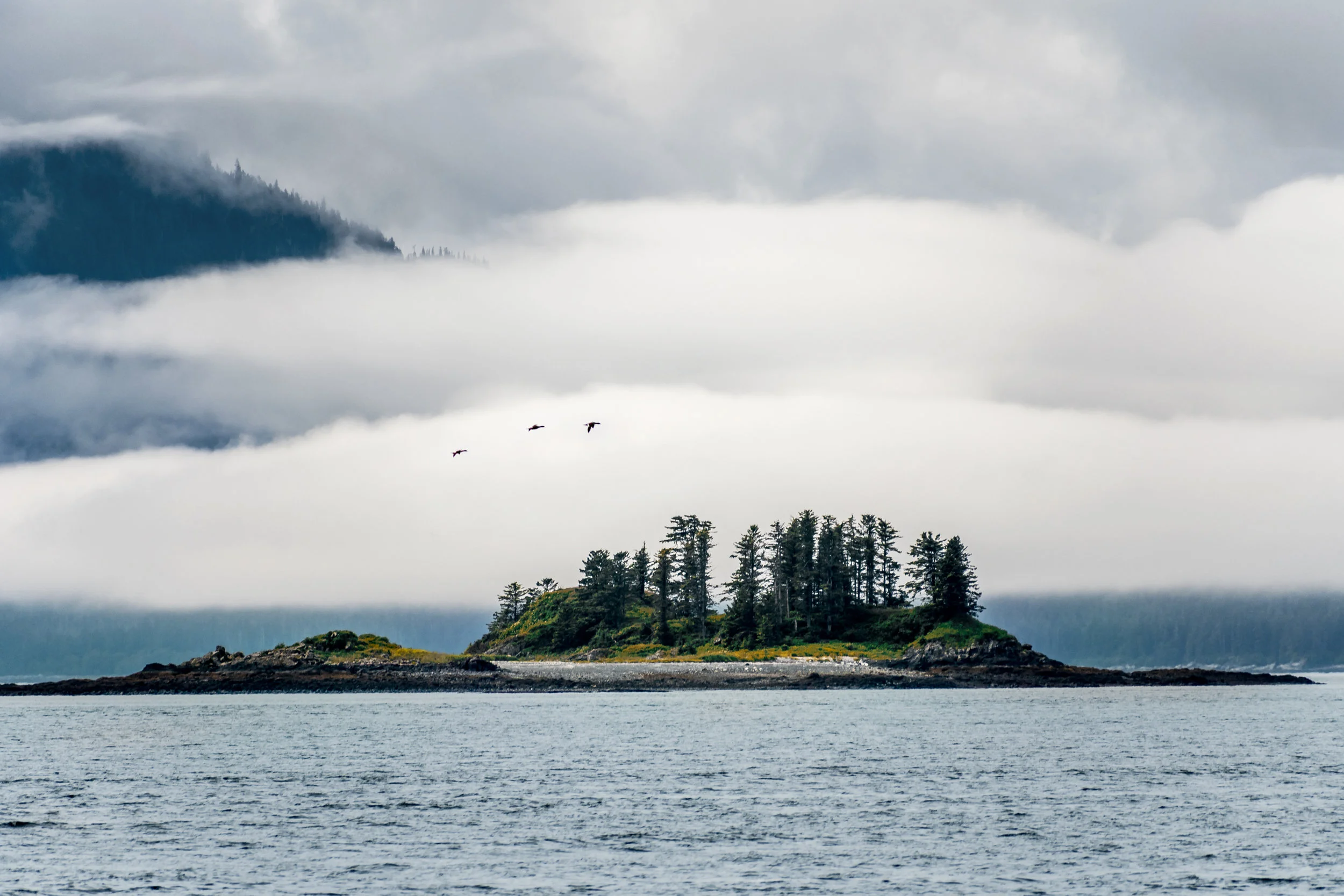 Canal island for website.jpg