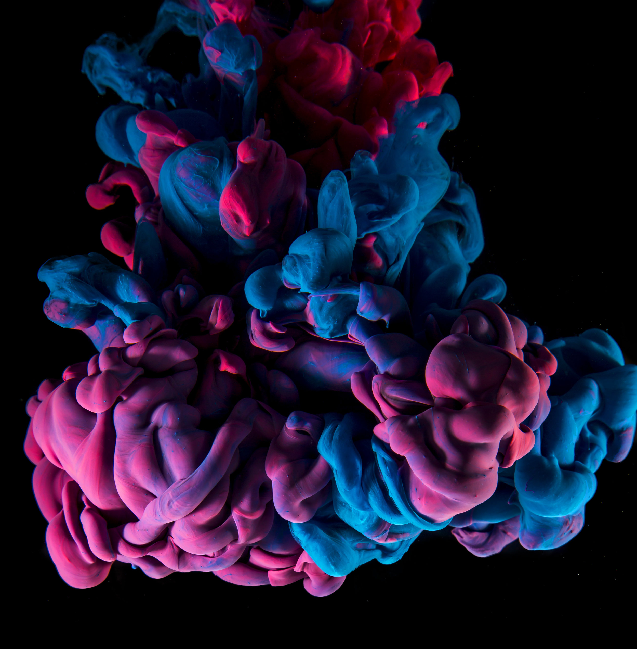 AdobeStock_73434819.jpeg