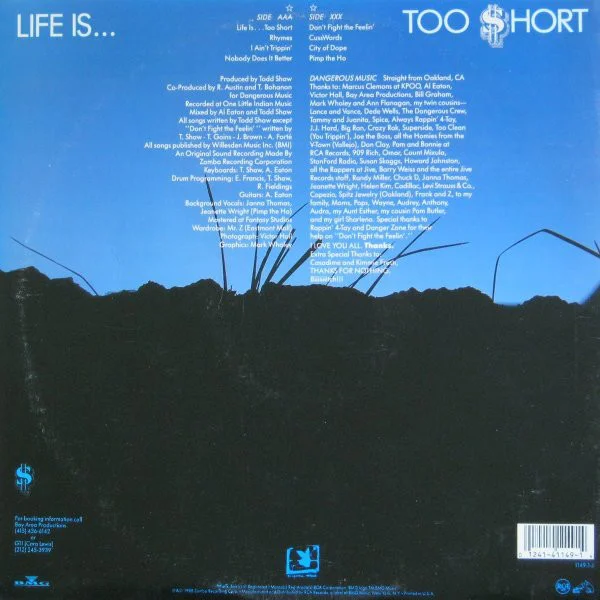 The back cover of Life's Too Short showing the inside of a grave looking up