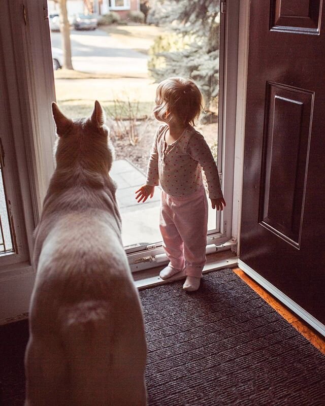 Here&rsquo;s a picture of my daughter and her best furry friend.

Given it&rsquo;s Blue Monday I thought something like this might cheer someone up.
I was going to write something in regards to Blue Monday, but I&rsquo;m not feeling it today. For som